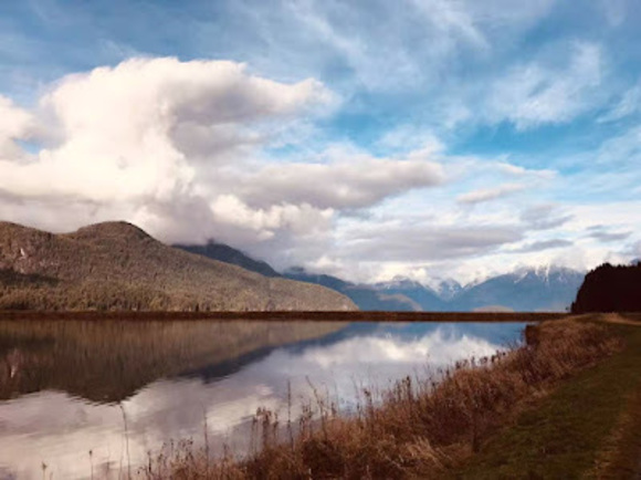 Meet your Posher, Jessie - Picture 1 of 1